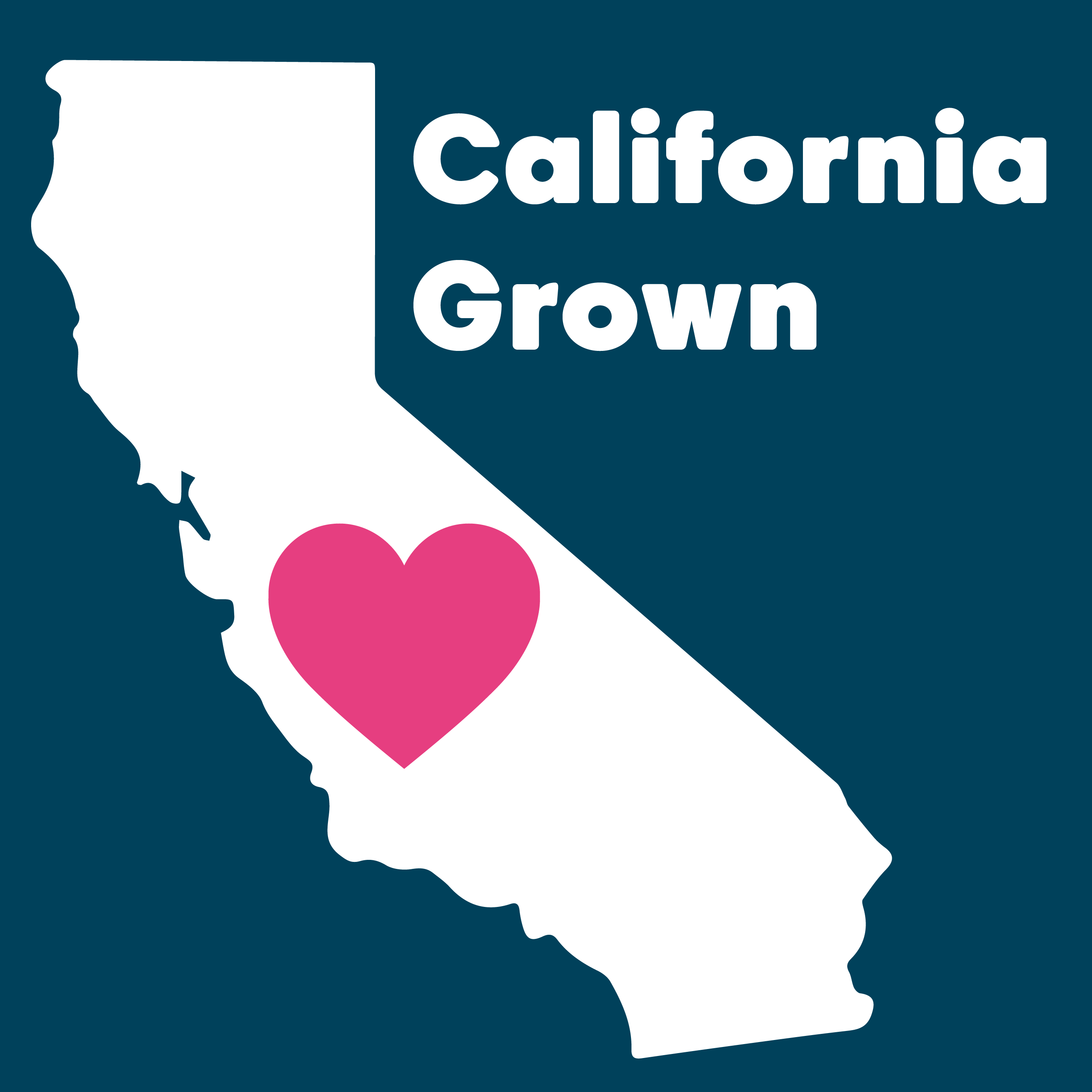 Wilderness Poets - Vente Noix - Pistaches de Californie biologiques, rôties et salées2