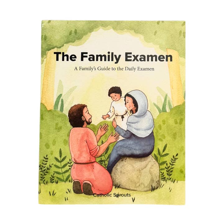 The Family Examen for wholesale by Catholic Sprouts LLC