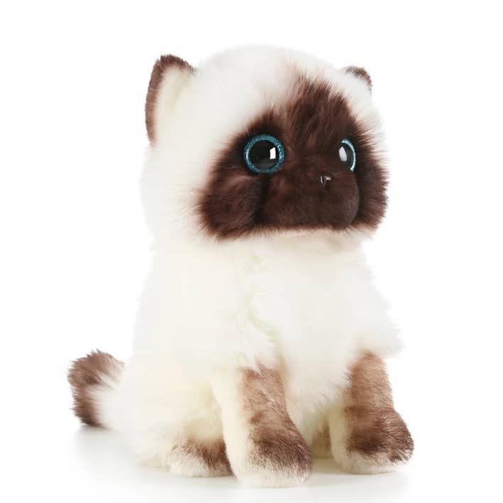 ToyalFriends - All Import Duties Covered! – Großhandel Kuschel-/Plüschtier – Kind & Baby – Simulation Siamese Cat Plüschtier3