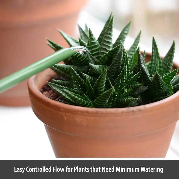 Wholesale Gifts Tomorrow - Wholesale Watering Can - Indoor Watering Can (Sage Green) (1.1 litre) Coated Steel4