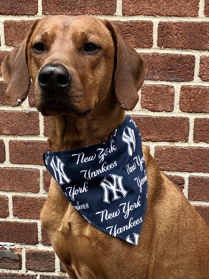 New York Yankees Reversible Bandana - Baseball Collection for wholesale by Koa's Ruff Life