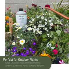 Elm Dirt - Wholesale Fertilizer - Plant Juice (16 oz) - Organic Liquid Fertilizer Concentrate3