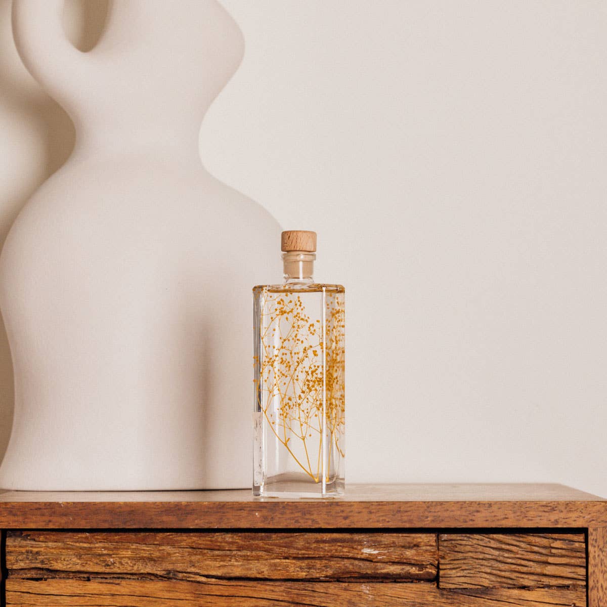 Theophile Berthon - Vente Plante - L'Herbarium Gypsophile safran - plante immergée7