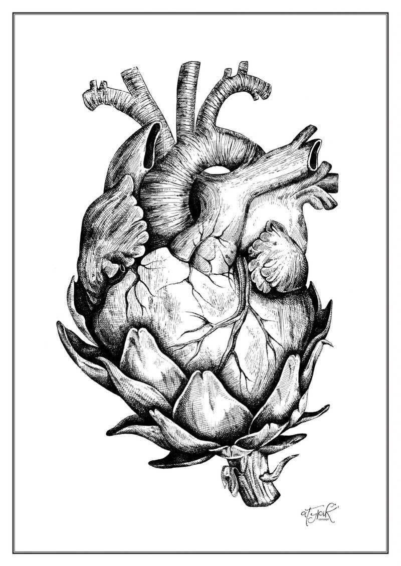 Atypik' Concept - Wholesale Art Print - Artichoke Heart Illustration - A31