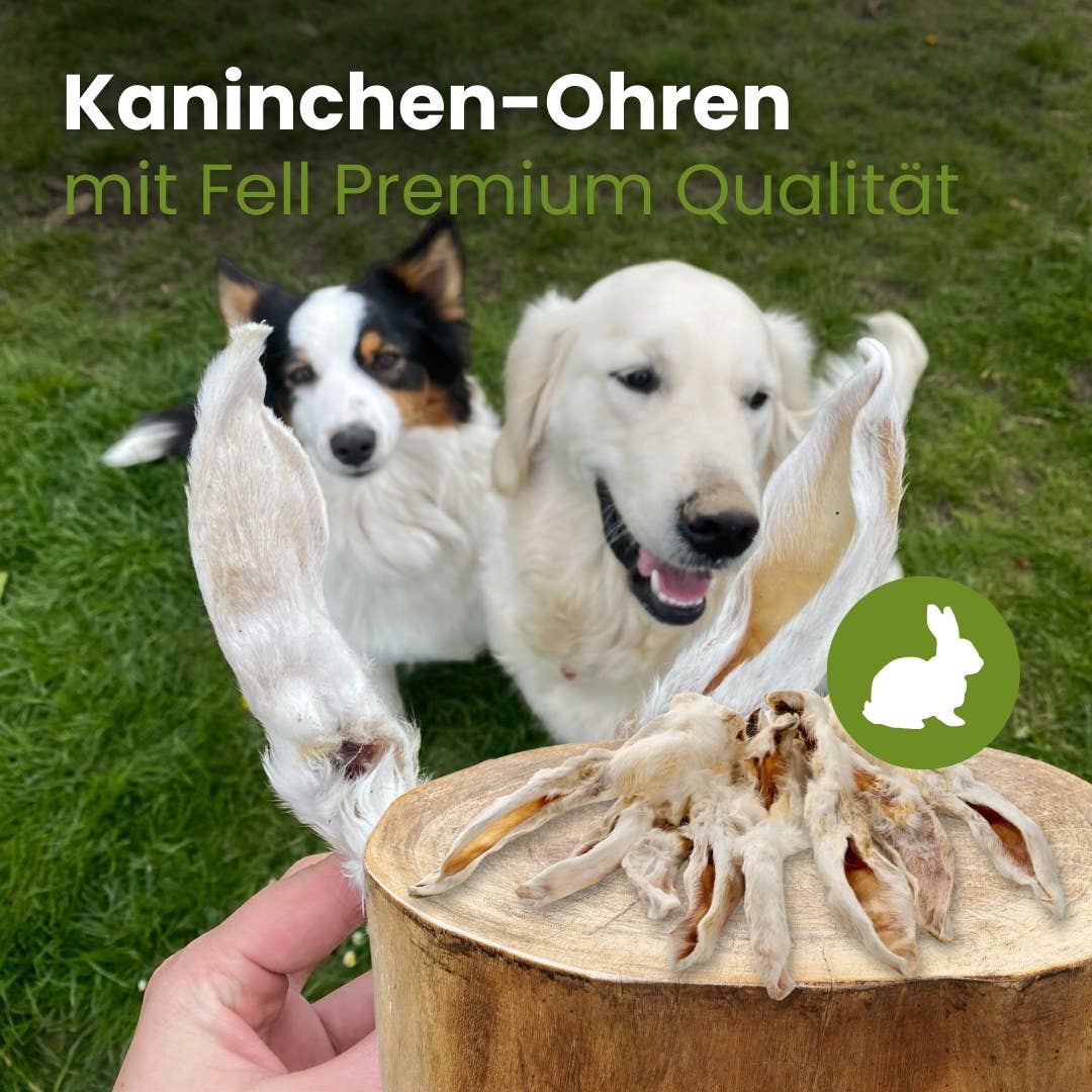 Kauartikel.com GmbH - Wholesale Pet Bone/Rawhide - Dog - Rabbit ears with fur premium quality1