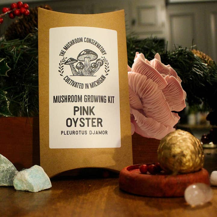 Kit de culture de champignons comestibles Pink Oyster - Excellent cadeau pour les gourmets pour la vente par The Mushroom Conservatory LLC