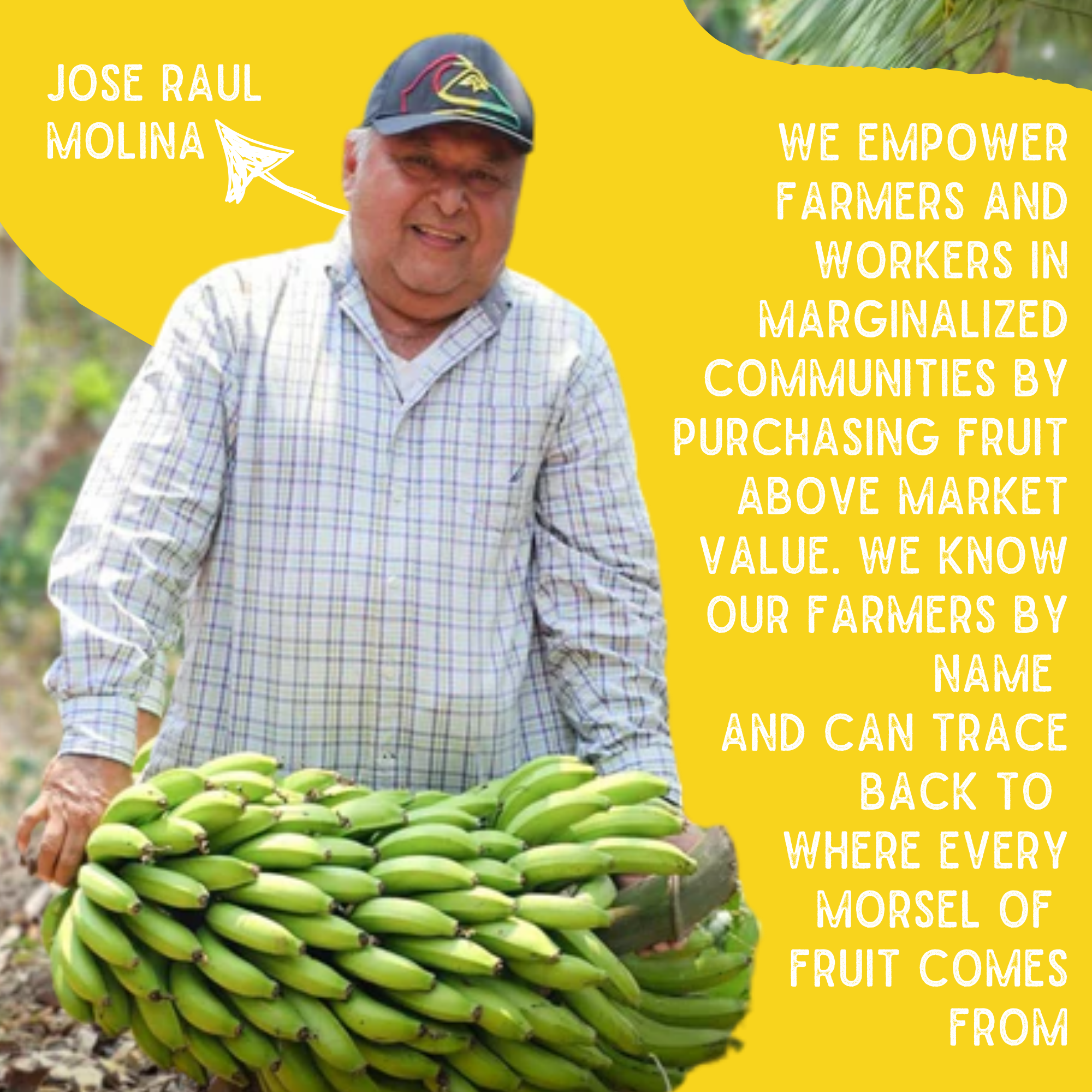 Sol Simple - Wholesale Dried/Dehydrated Fruit - Regenerative Organic Certified Solar Dried Banana - 3oz5