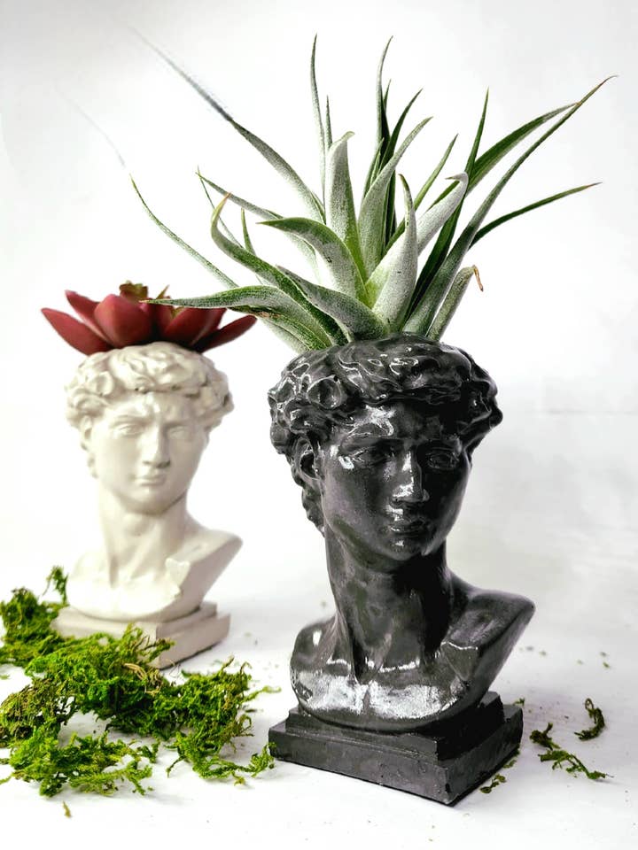 Concrete Statue of David Head Pot | Bust Planter | Air Plant for wholesale by Geoform Designs