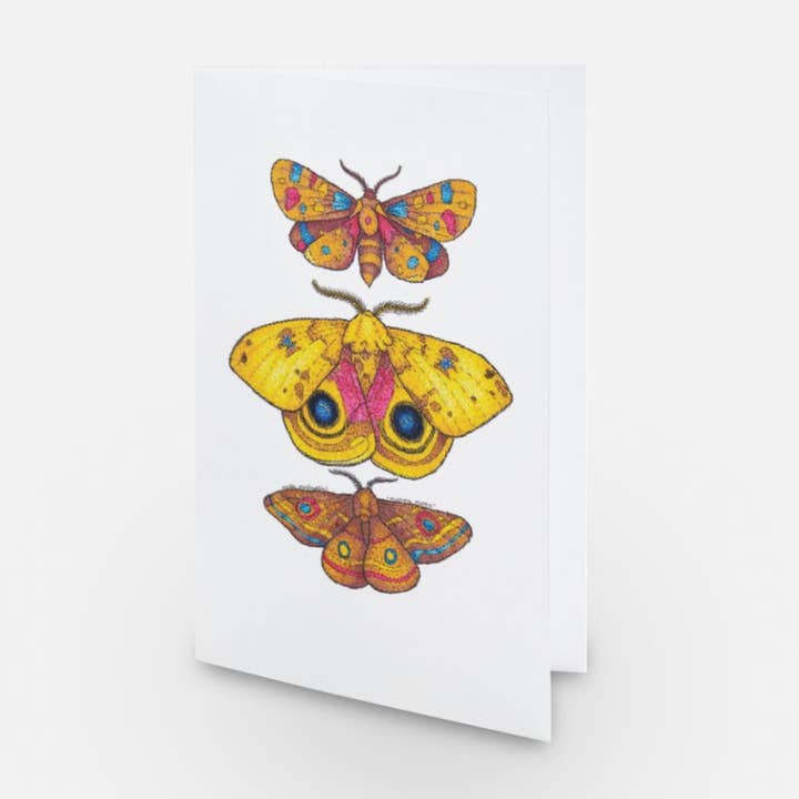 Carte de voeux plusieurs papillons de nuit pour la vente par Artwork By Emilie