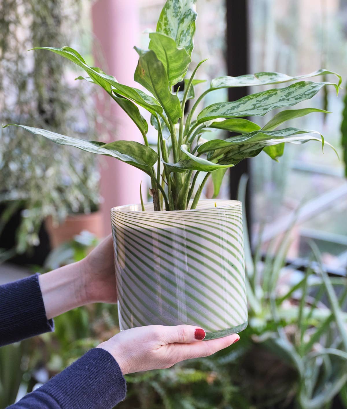 Wrap (US duties paid) - Wholesale Plant Pot - Large Spiral Glass Planter - Green