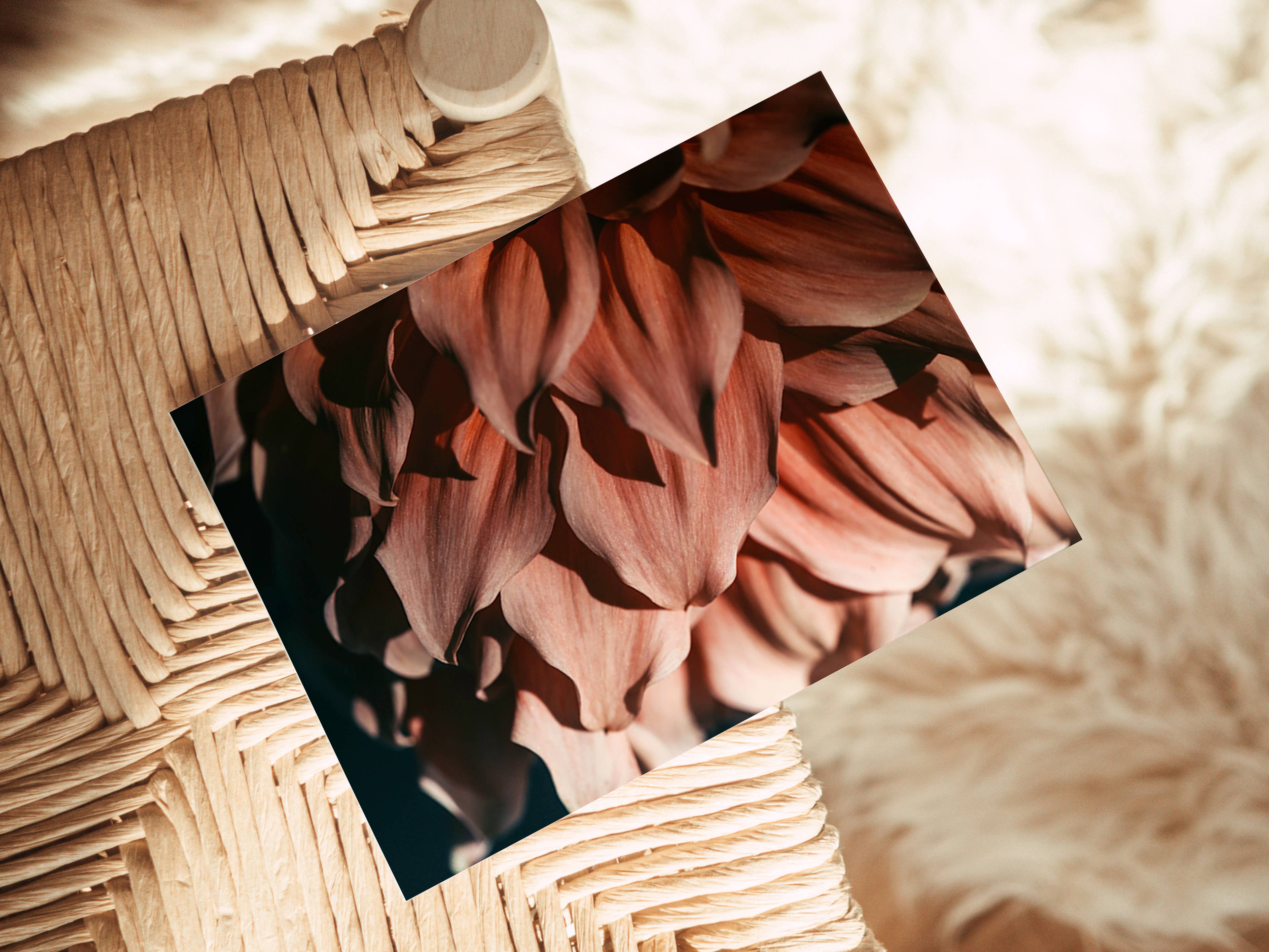 Alicia Bock Print Shop - Wholesale Stationery/Notecard Set - Blank Note Card - Drama Queen2