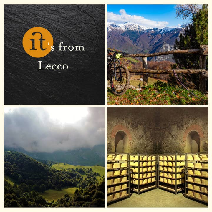 Gourm.it - Wholesale Cheese - Capralpina. 100% Alpine goat cheese. Made in Italy.4