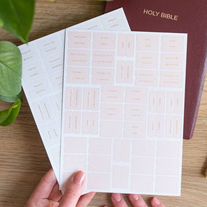 Church Notes Co. - Wholesale Sticker - Pink and Cream Bible Tabs