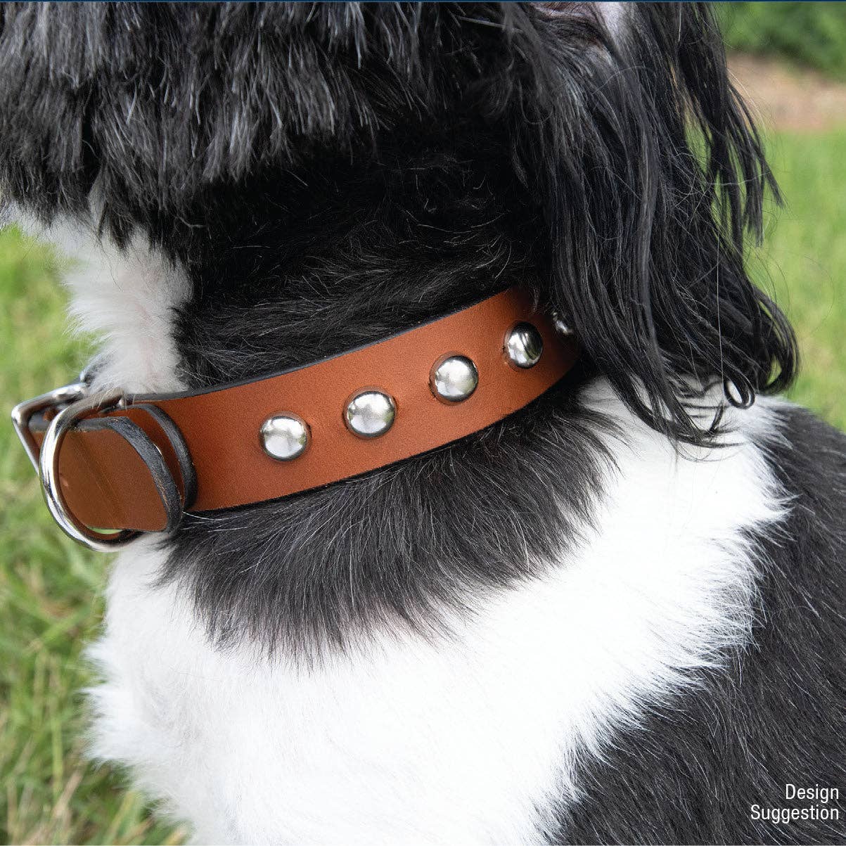 Tan Leather Dog Collar Kit - Torino Leather for wholesale on Faire2