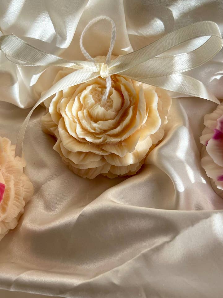 Peonía en flor para venta al por mayor de Cat’s House of Wax