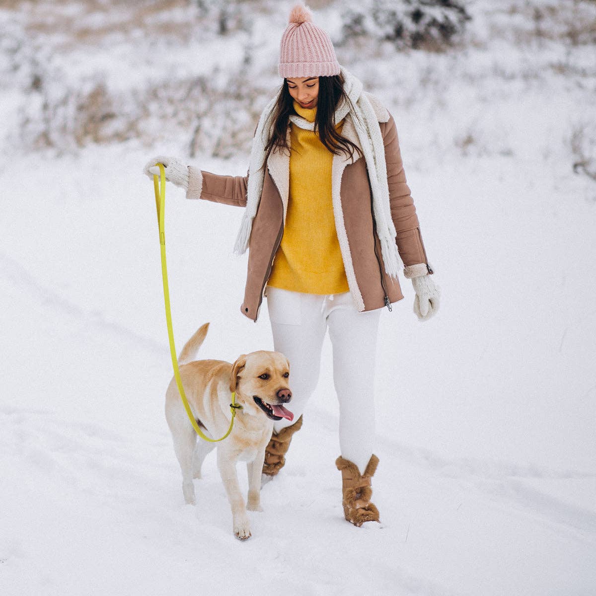 Dogline – wholesale Pet leash – Dog – Biothane Slip Lead24