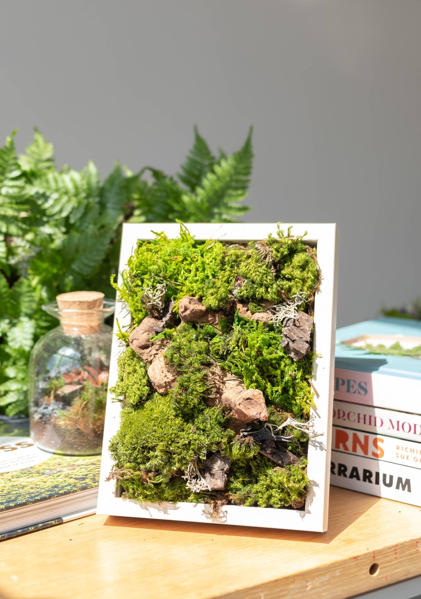TERRART NYC - Wholesale Wall Planter - Nature's Canvas Moss Wall1
