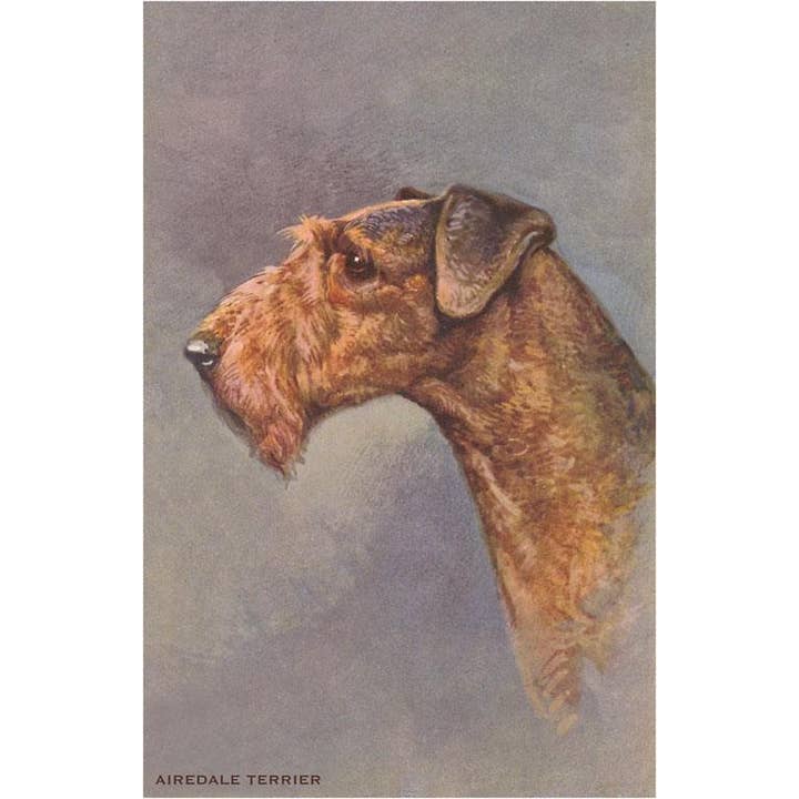 Found Image Press - Wholesale Magnet - Magnet DG-68 Airedale Terrier