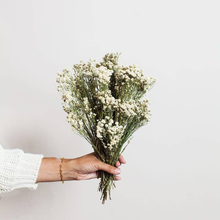 Idlewild Floral Co. - Wholesale Dried/Pressed Flowers - Dried Pearl Achillea