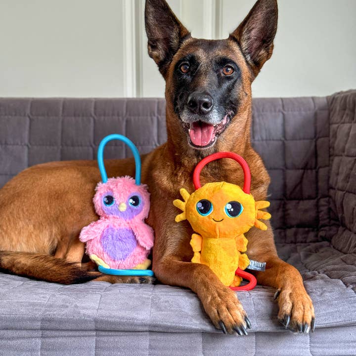 PawStory - Wholesale Knuffelspeeltje - Hond - Vrienden - Axel Axolotl5