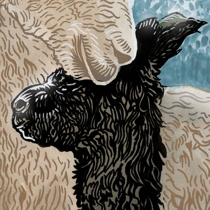 Sunny Days - Wholesale Mother's Day Card - No Drama Mama Llama2