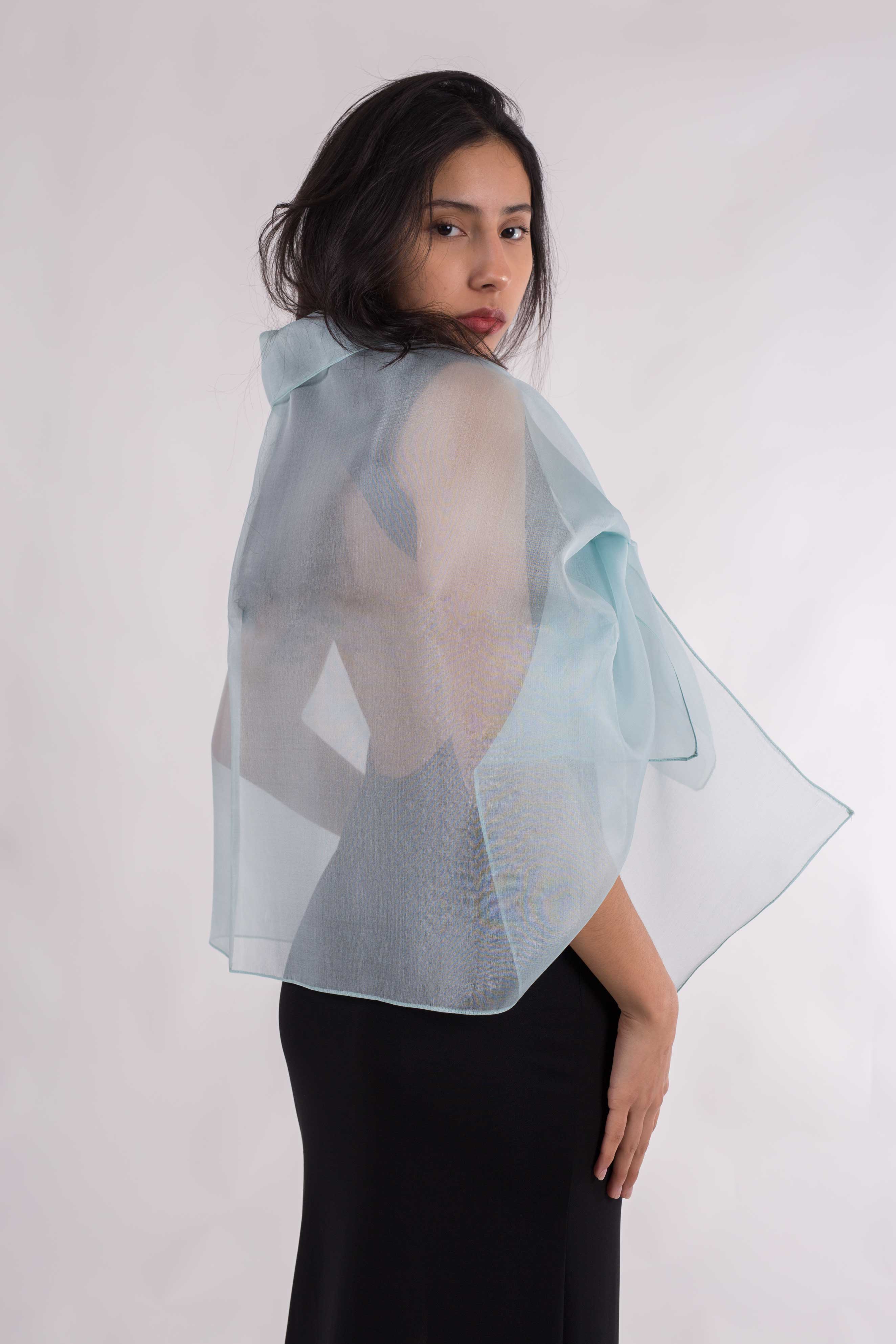 MR Complements - Venta al por mayor Chal - Mujer - Chal de Organza Seda Natural16