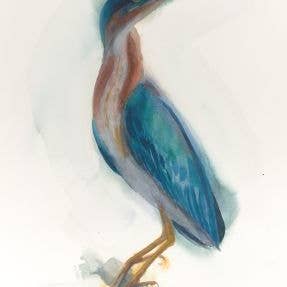 Green Heron ~ "Strength" ~ "Oh, to Fly" ~ Giclée Print for wholesale by Holly Wach Art LLC