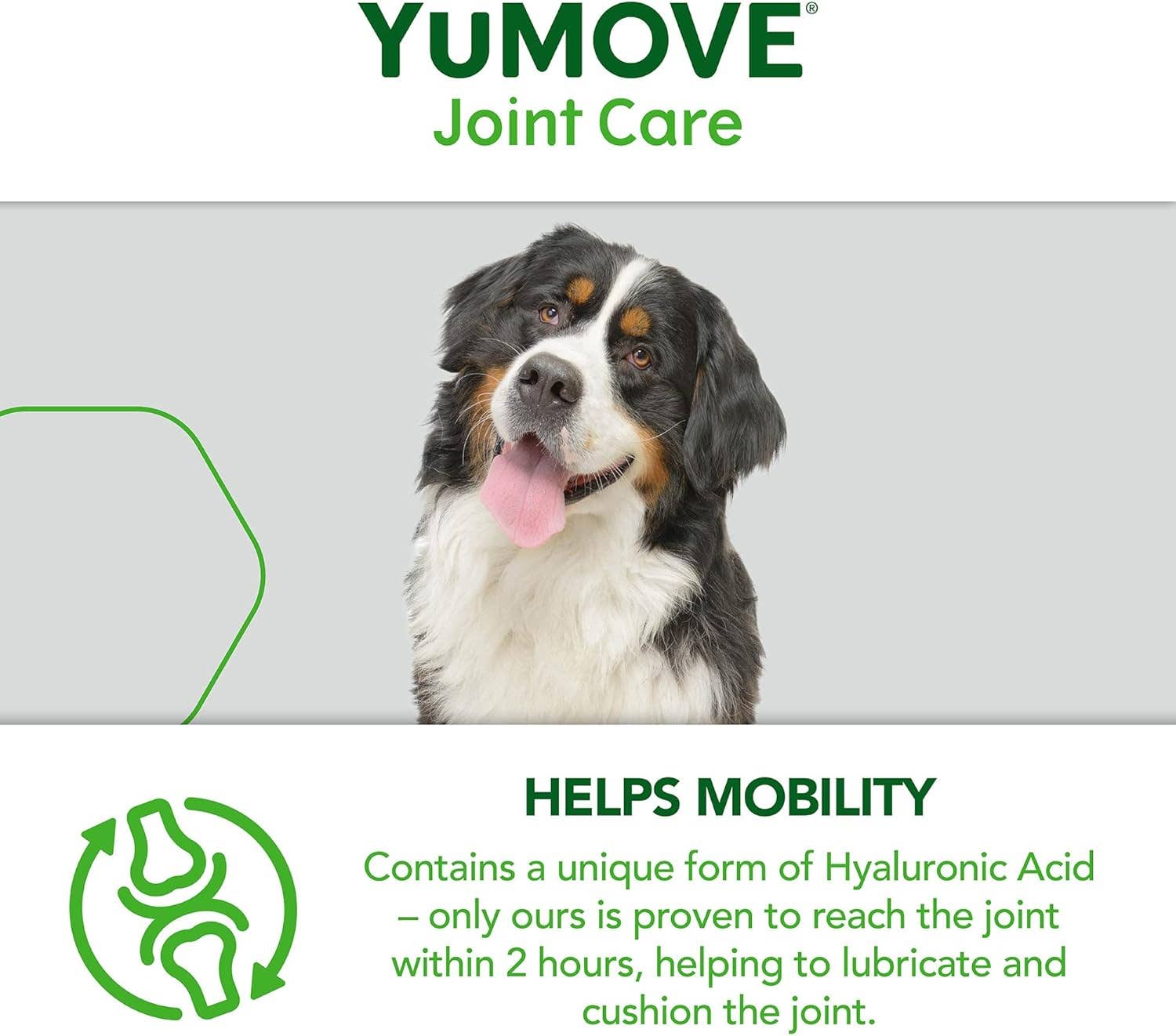 Pet Vital Care - Wholesale Pet Supplement - Dog - YuMOVE Senior Dog Joint Supplement 240 tablets5