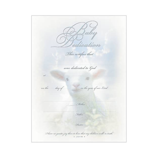 Warner Press - Wholesale Stationery/Notecard Set - Baby Dedication Certificate - Premium, Silver Foil Embossed