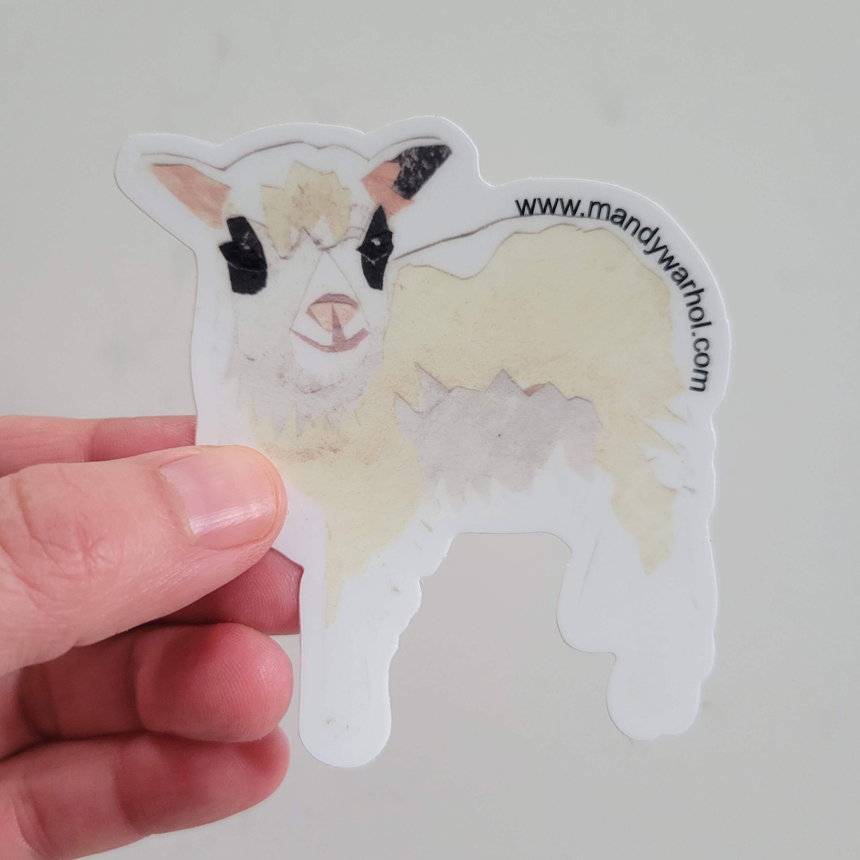 Mandy Warhol Fine Art - Wholesale Sticker - Shetland Baby Lamb Vinyl Sticker2