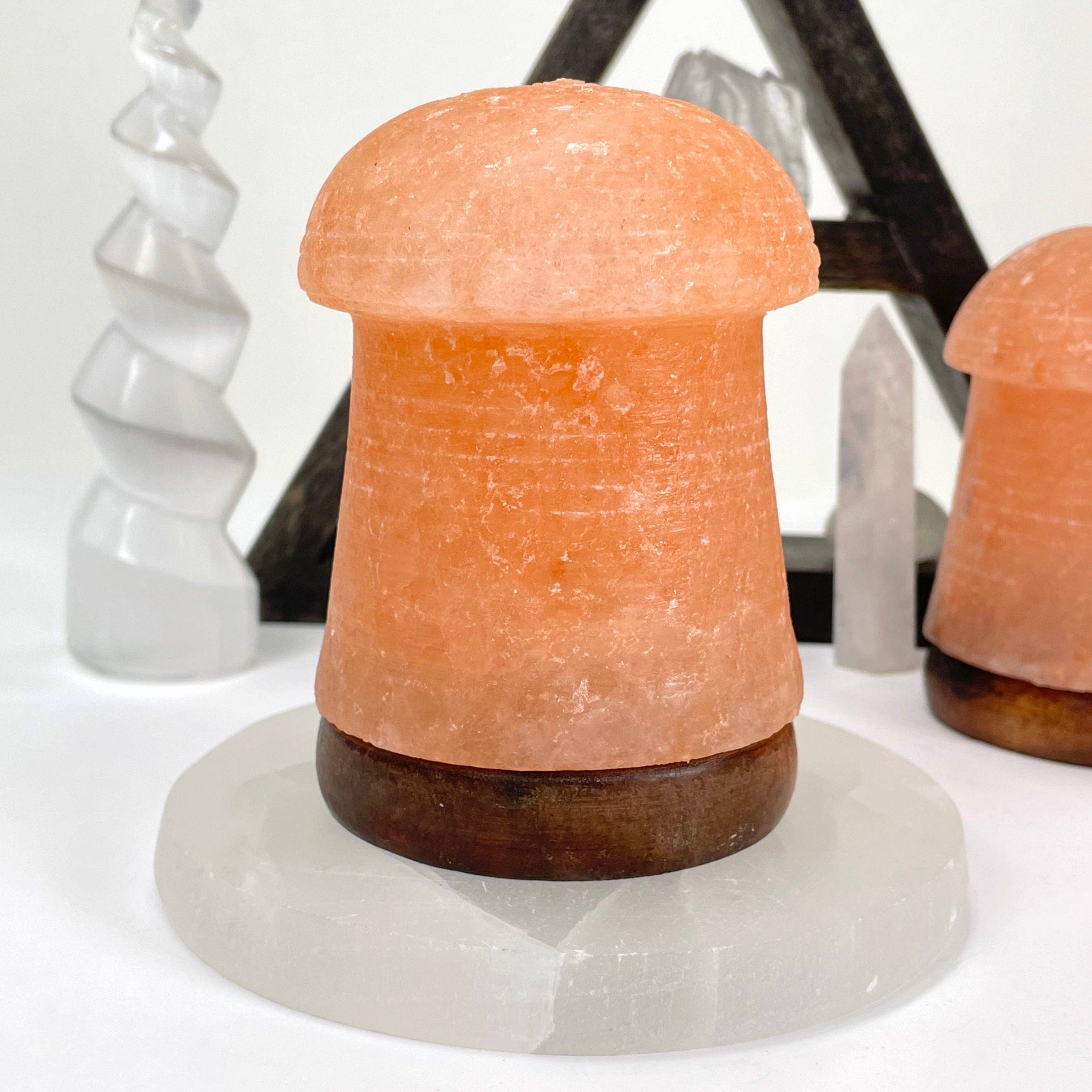 Rock Paradise - Wholesale Salt Lamp - Crystal Himalayan Salt Orange Mushroom Lamp2