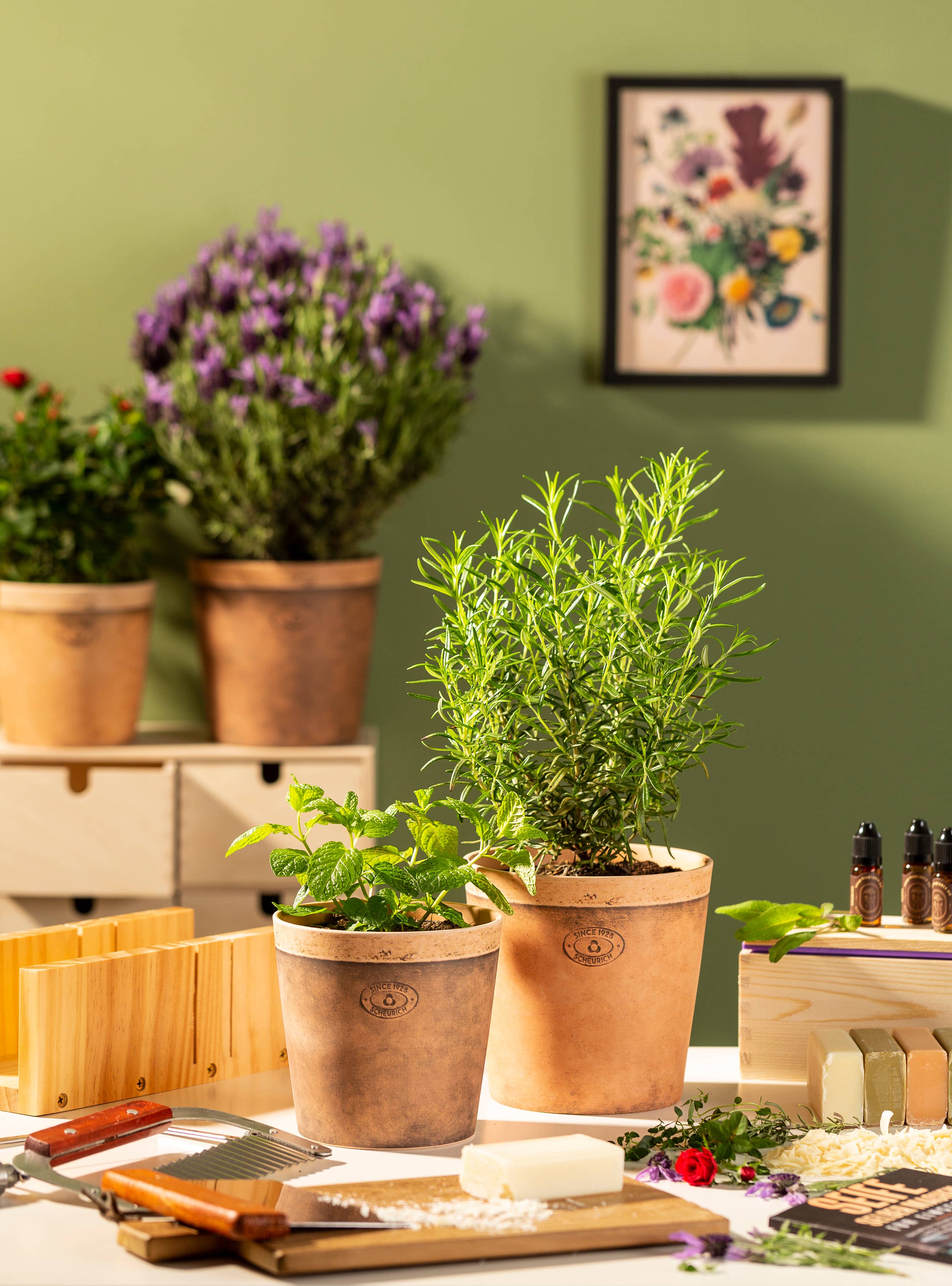 Scheurich - Wholesale Plant Pot - Cork Style 778 ceramic flower pot/planter1