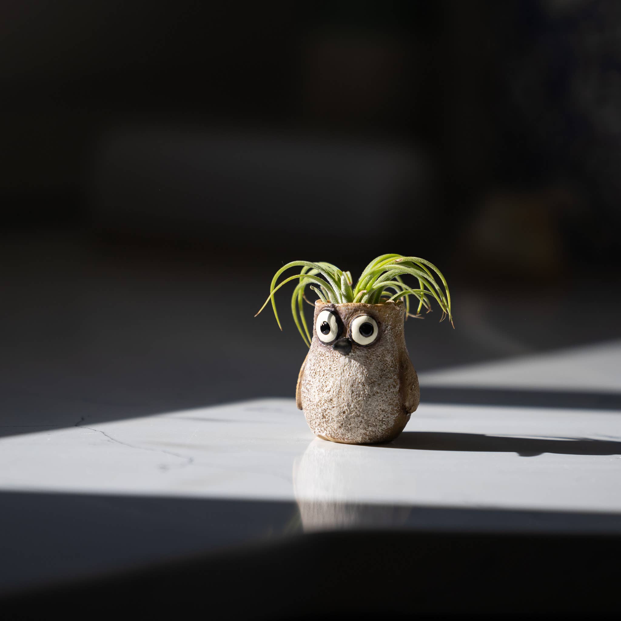 Cohasset Gifts - Wholesale Plant Pot - Baby Sandpiper Bird, Speck, Mini Blobhouse Planter1