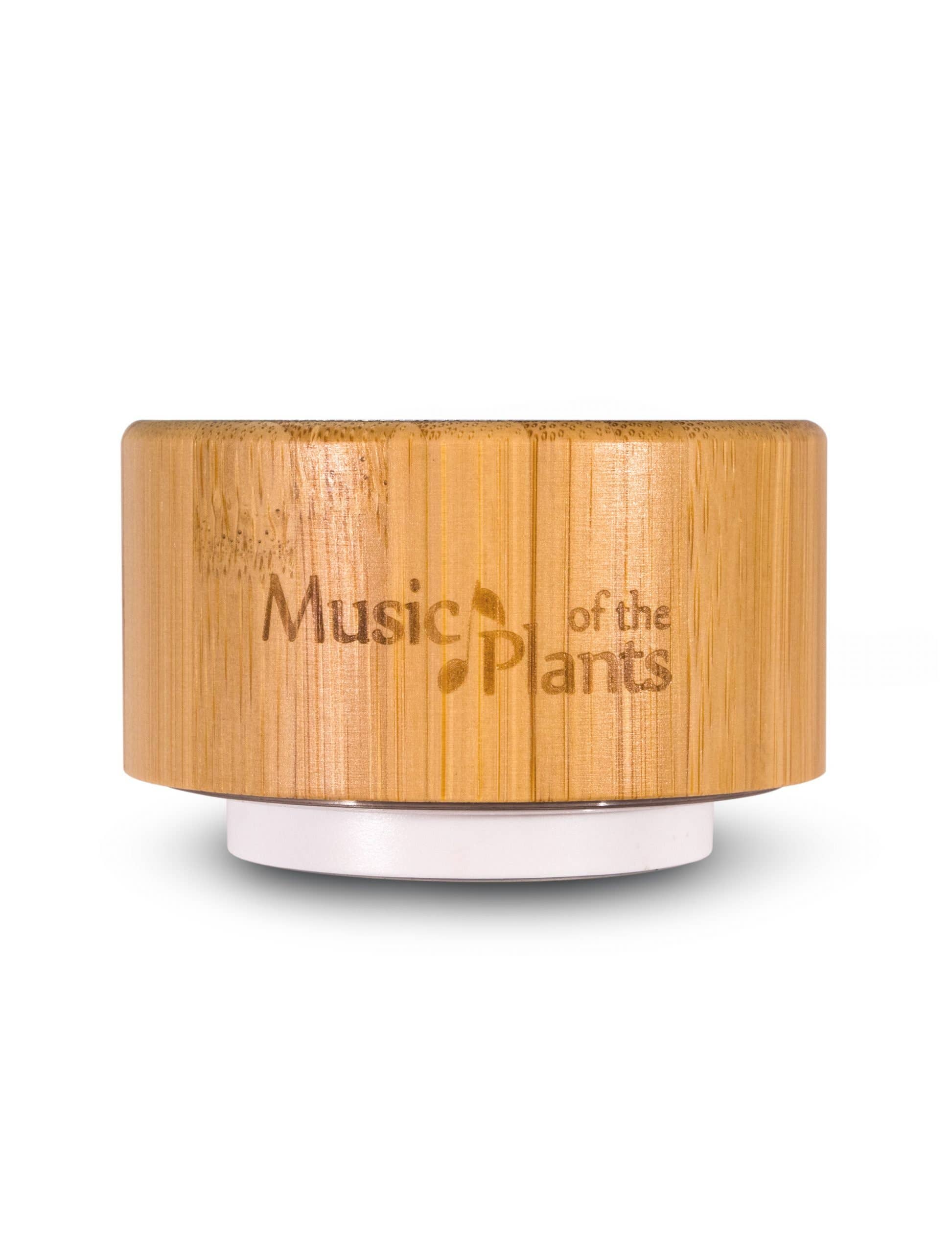 Streampath Srl - Vendita all'ingrosso Casse audio - Ginkgo - Dispositivo per musica delle piante: potente e facile da usare1