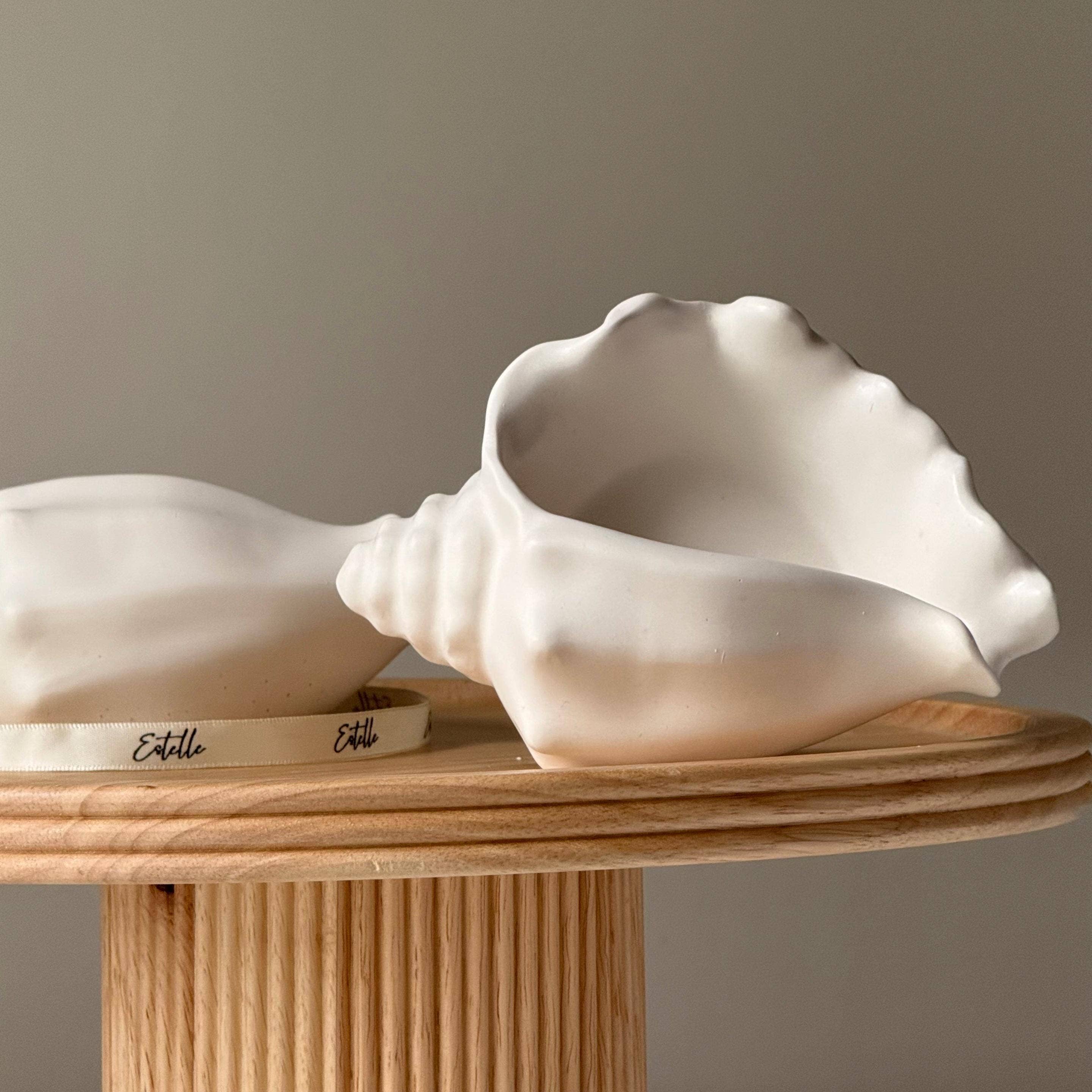 Estelle Studio - Wholesale Jewelry Dish - Conch Shell Jesmonite Trinket Tray: Coastal Jewelry Storage Dish1