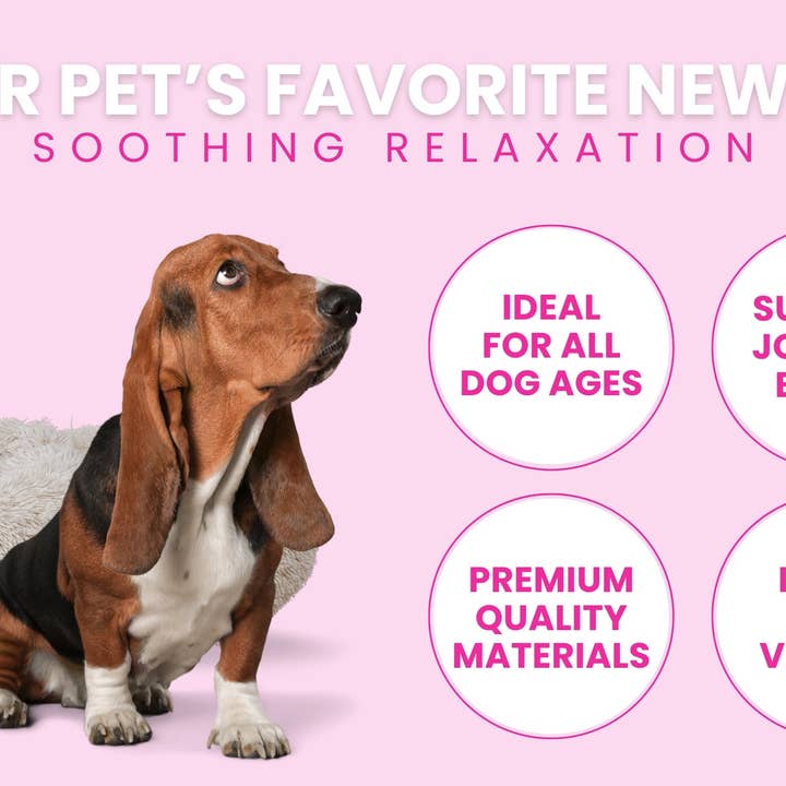 Glow Pups – wholesale Pet bed – Dog – Calming Faux Fur Dog Bed with Memory Foam Bolster20