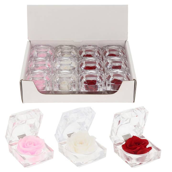 Konservierte Rosen in CDU gemischt für den Großhandel von Joe Davies