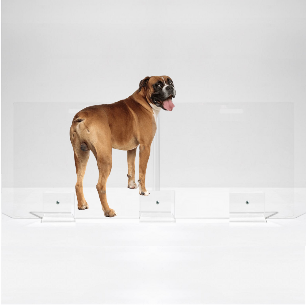 Hiddin - Vente Barrière portative pliable – chien - Portail à Panneaux Hauts10