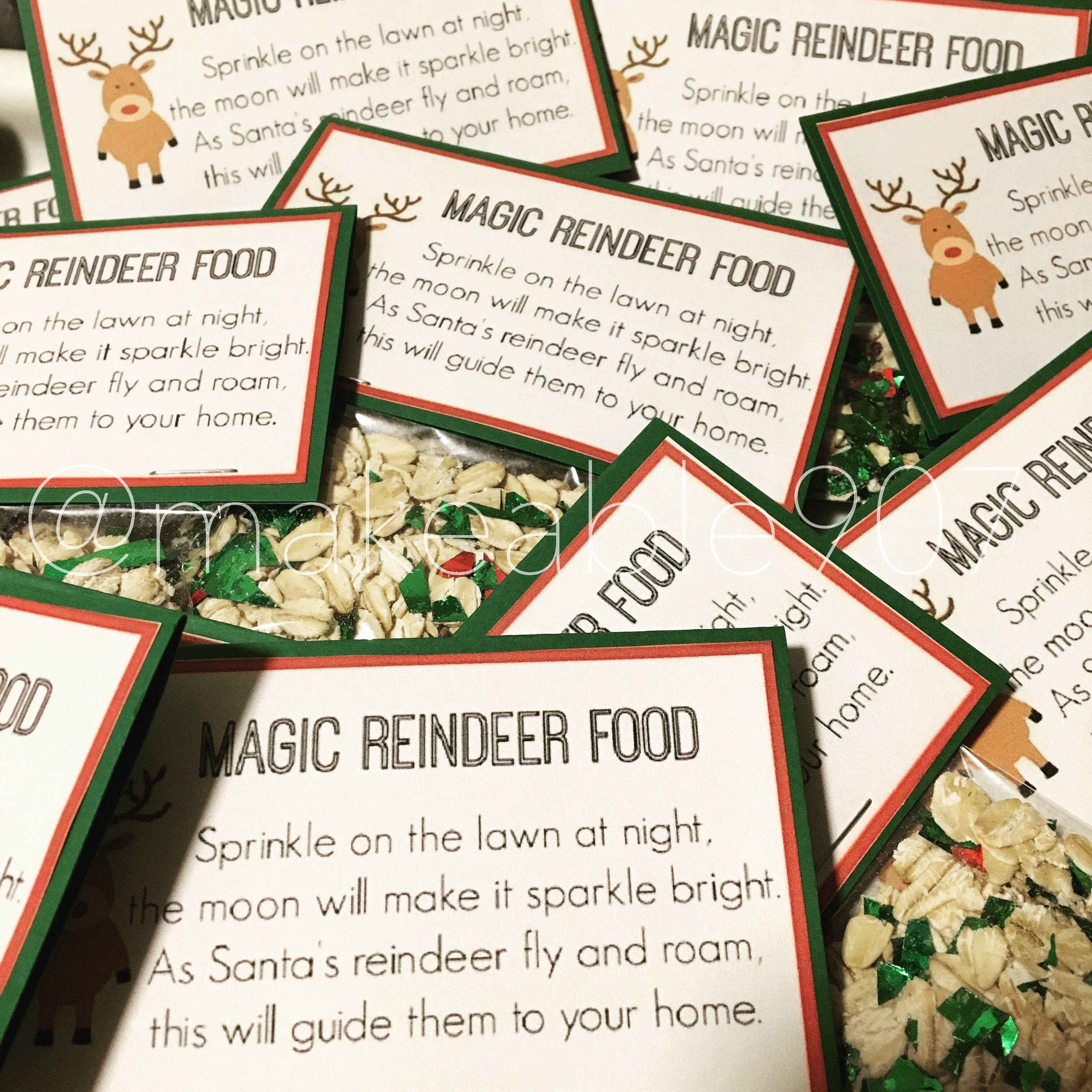 mAKeable Personalized Creations - Wholesale Christmas Decoration - Magic Reindeer Food1