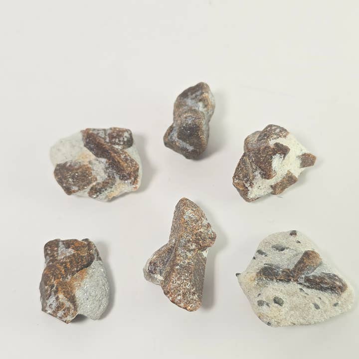 Staurolite 6pcs ~ Bulk Mineral Specimens ~ Crystals for wholesale by Aquamarine Daydream Wholesale