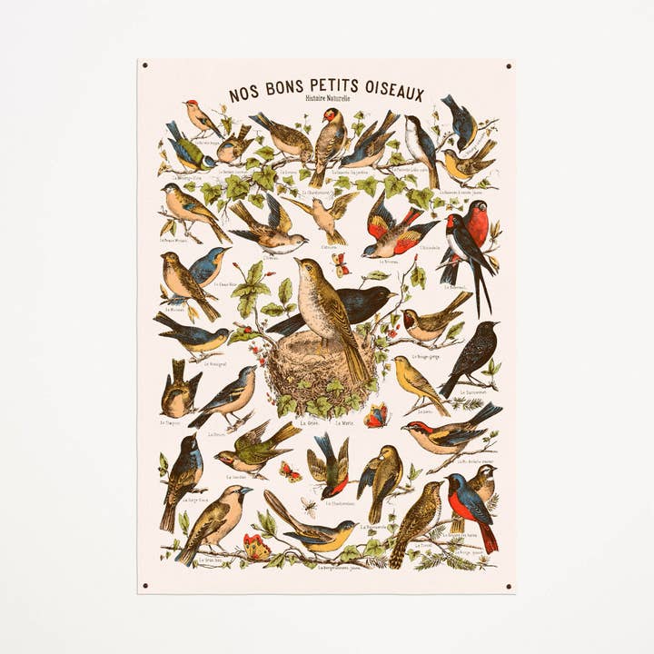 Aster Edition - Vente Toile - Toile : Nos Bons Petits Oiseaux