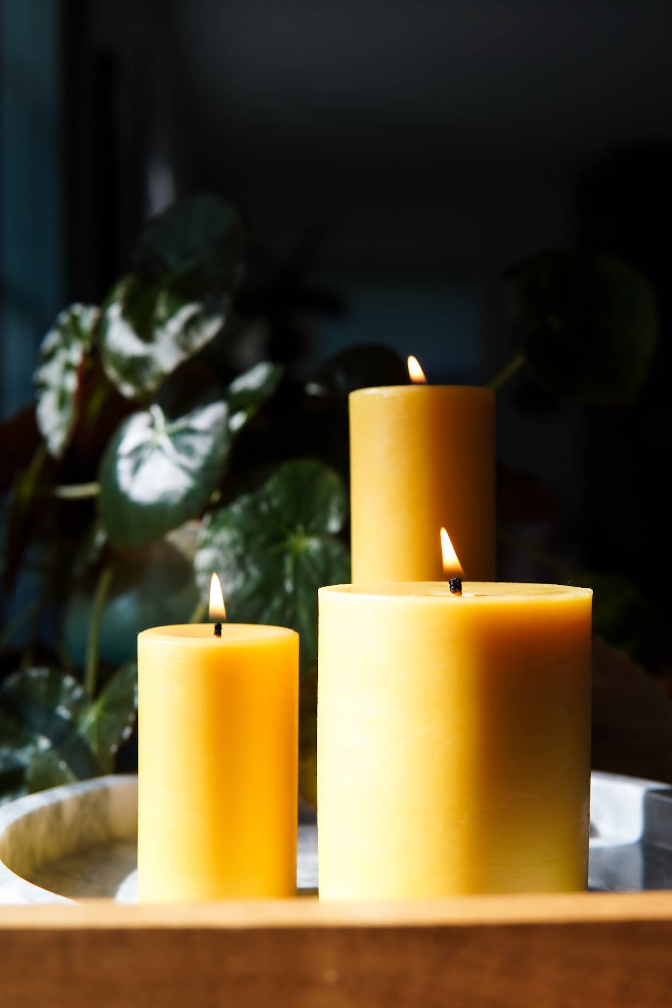 Sunbeam Candles, Inc - Wholesale Pillar Candle - Beeswax Smooth Pillars - Natural7
