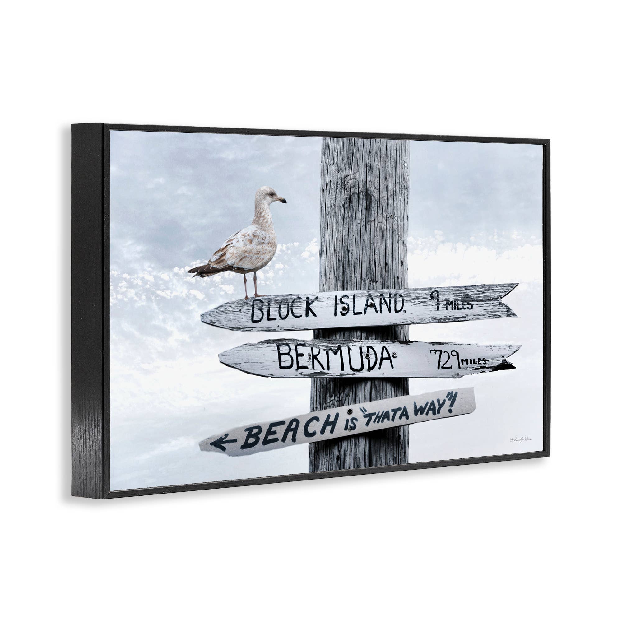 Stupell Industries – wholesale Väggskylt – Semesterstrandskyltar med mås - Inramad väggkonst13