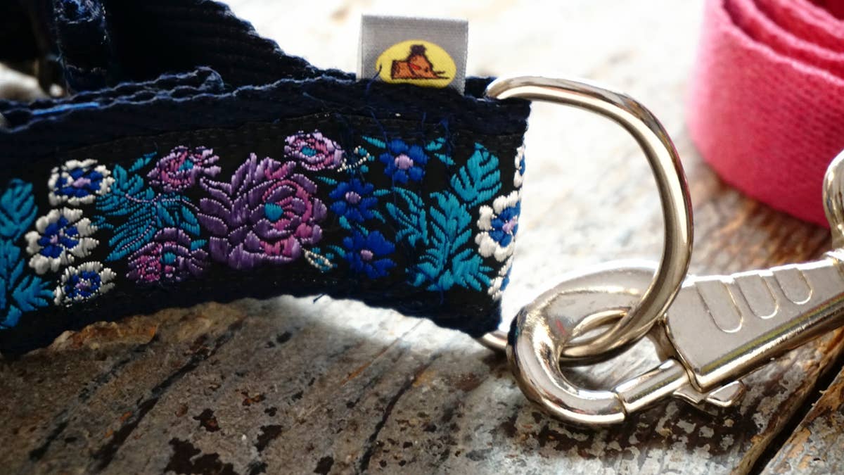 hundsfutter - Wholesale Pet Collar - Dog - Necklace with Strap set1