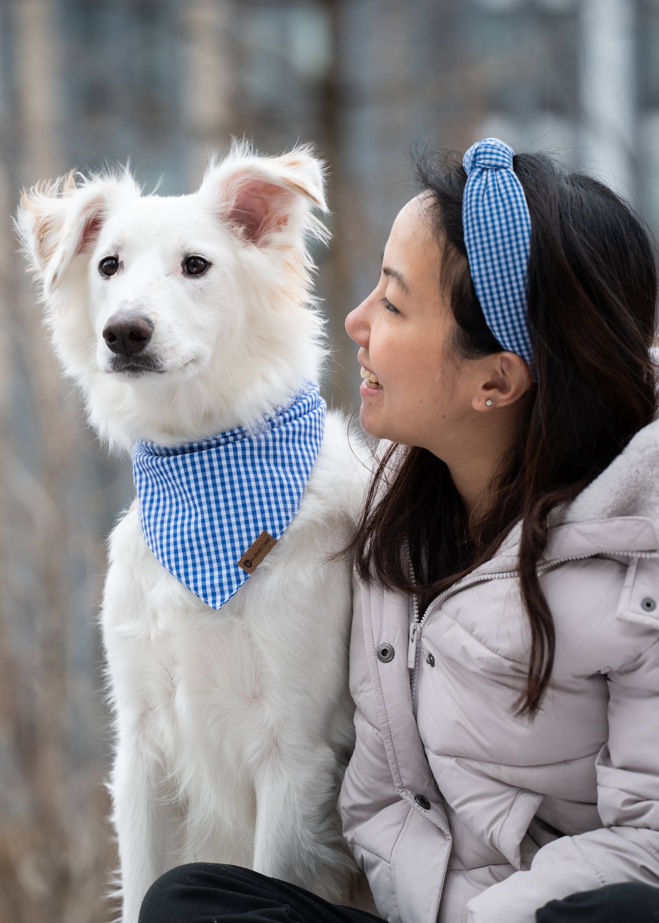 Pawsbury Lane – wholesale Pet bandana – Dog – Matching Dog and Owner : Headband and Bandana - Blue Gingham6