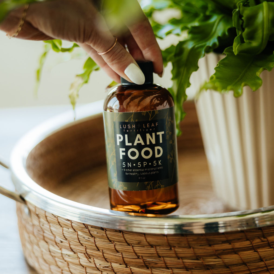 Lush Leaf - Wholesale Fertilizer - Lush Leaf Plant Food7