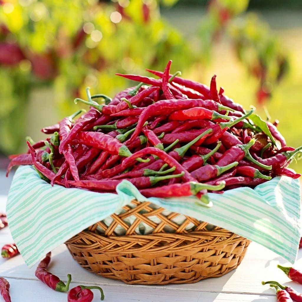 Sow True Seed - Wholesale Plant Seeds - Hot Pepper Seeds - Cayenne Long Red Thin3