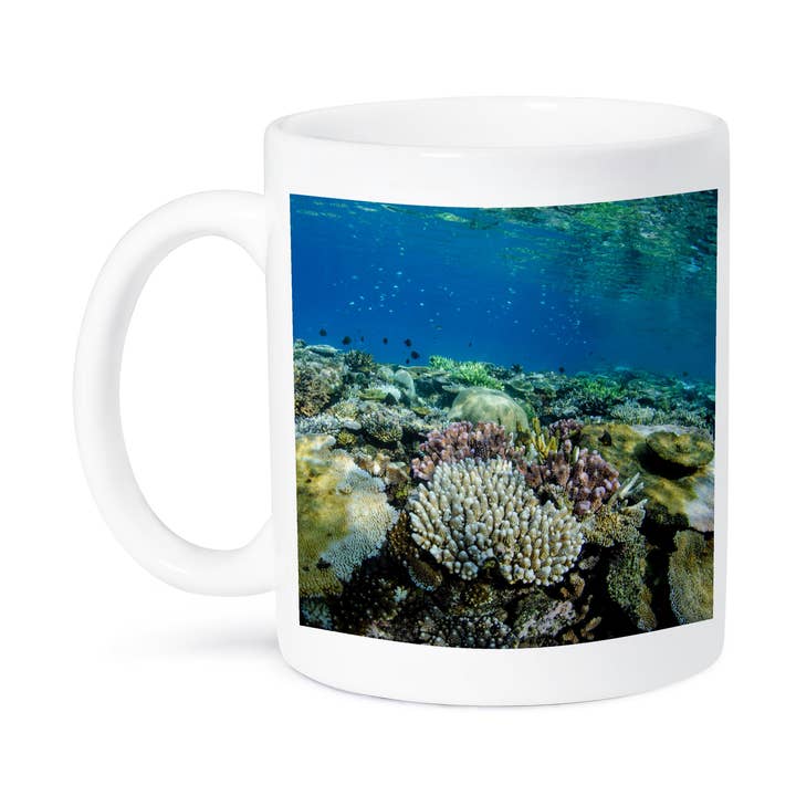 3dRose – wholesale Coffee mug – 3dRose, Coral Reef Diversity, Fiji, Underwater, Mug8