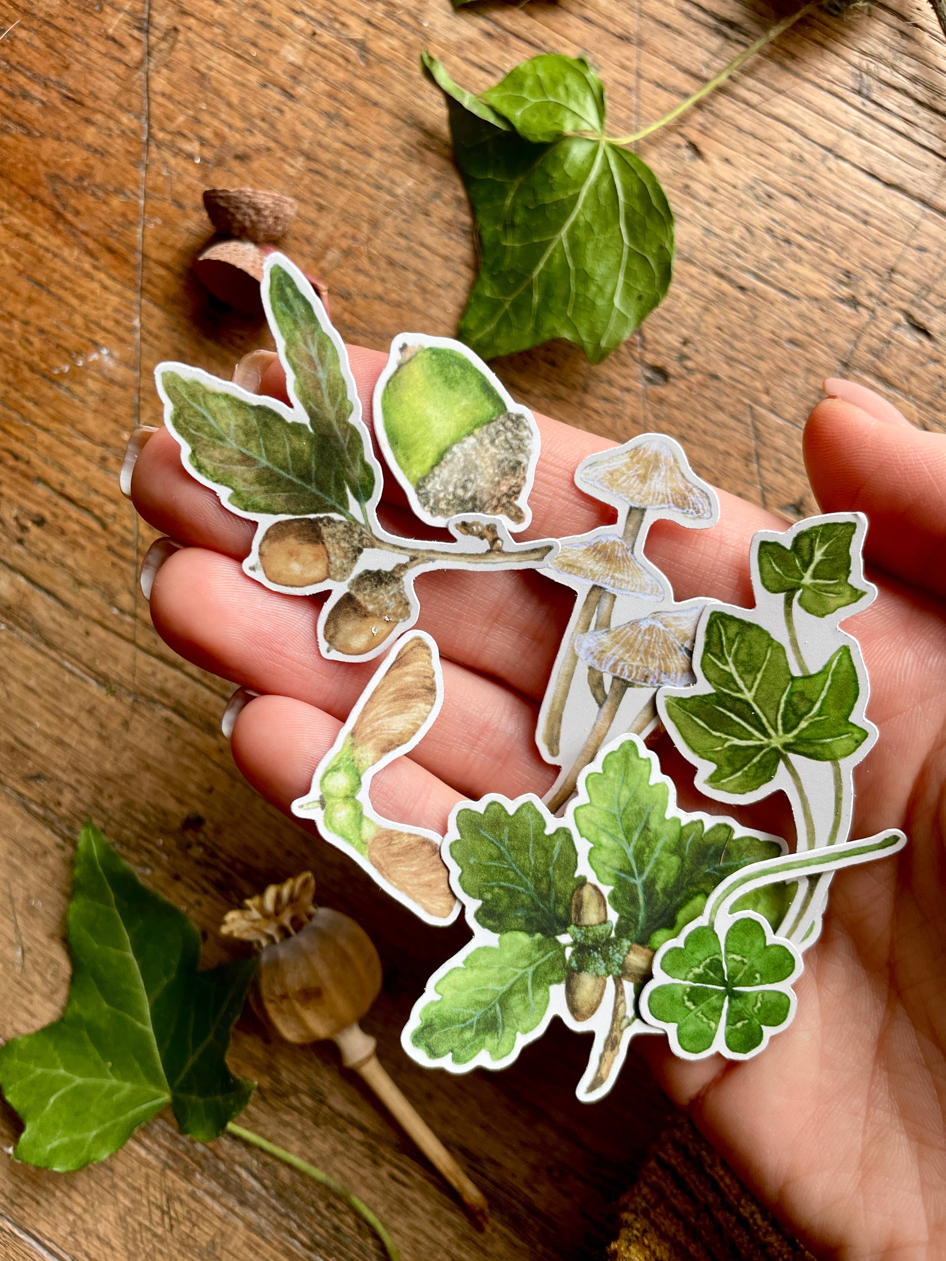 Georgiou Draws – wholesale Sticker – Woodland Nature Elements Matt Vinyl Sticker Set3