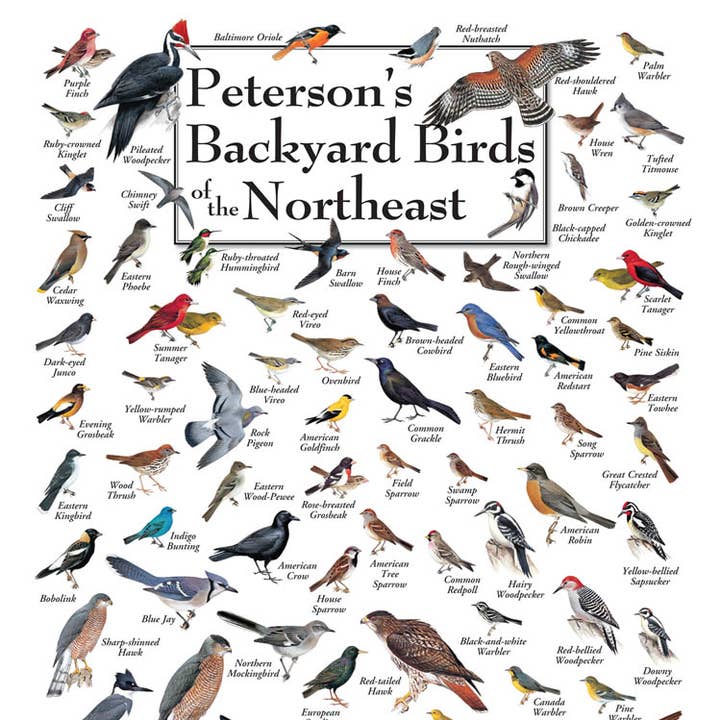 Heritage Puzzle - Wholesale Puzzle - Adult - Peterson's Backyard Birds of the Northeast Puzzle0